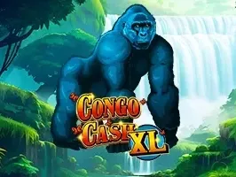 Congo Cash XL thumbnail
